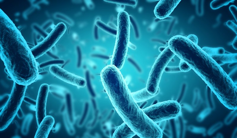 Illustration of bacteria